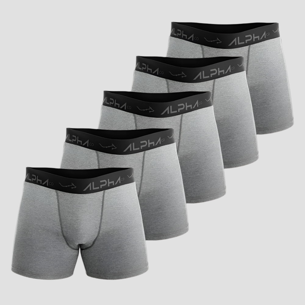 Kit 5 Cuecas Boxer Cotton Mescla Cinza - Alpha