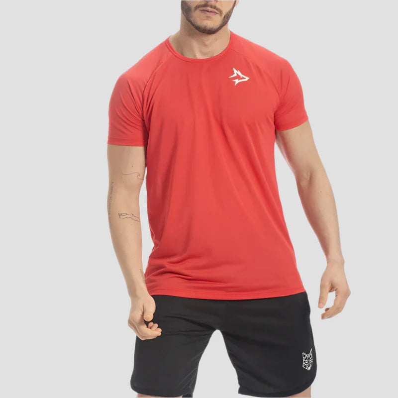 Kit 6 Camisetas Completo