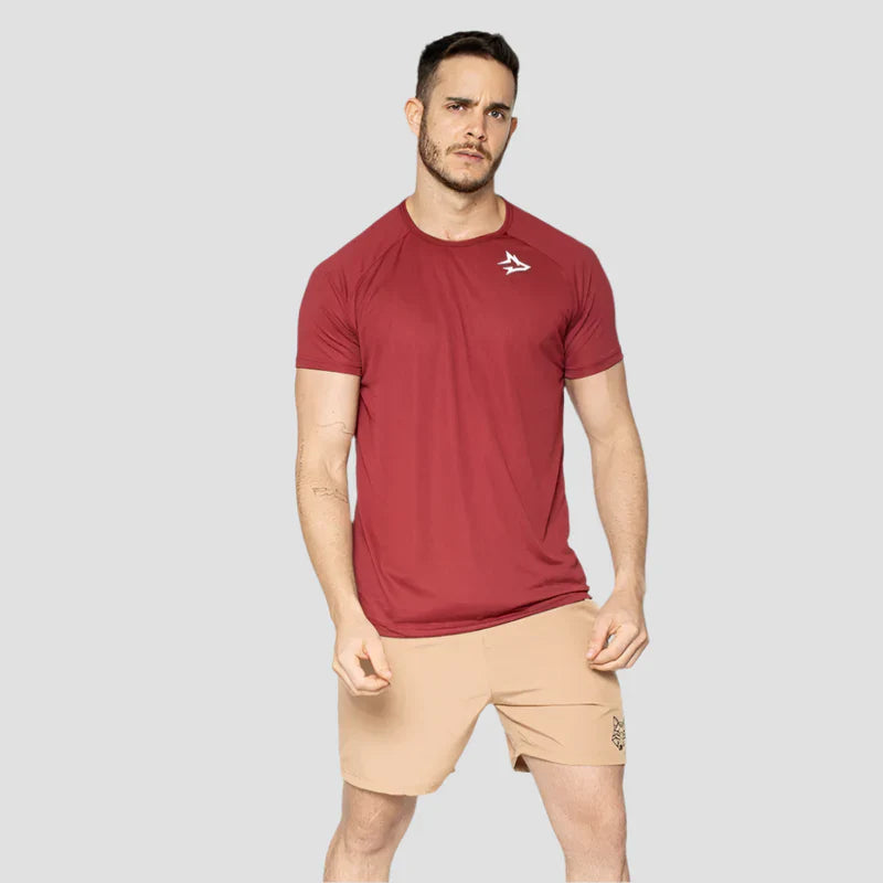 Kit 6 Camisetas Tons Vibrantes