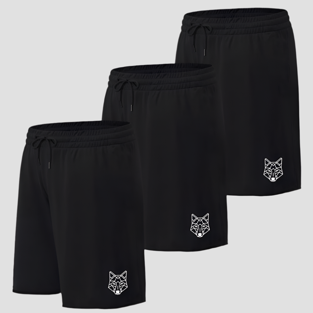 Kit 3 Shorts Pretos Dry Fit Lobo