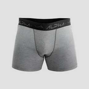 Kit 6 Cuecas Boxer Mescla Cotton Cinza - Alpha
