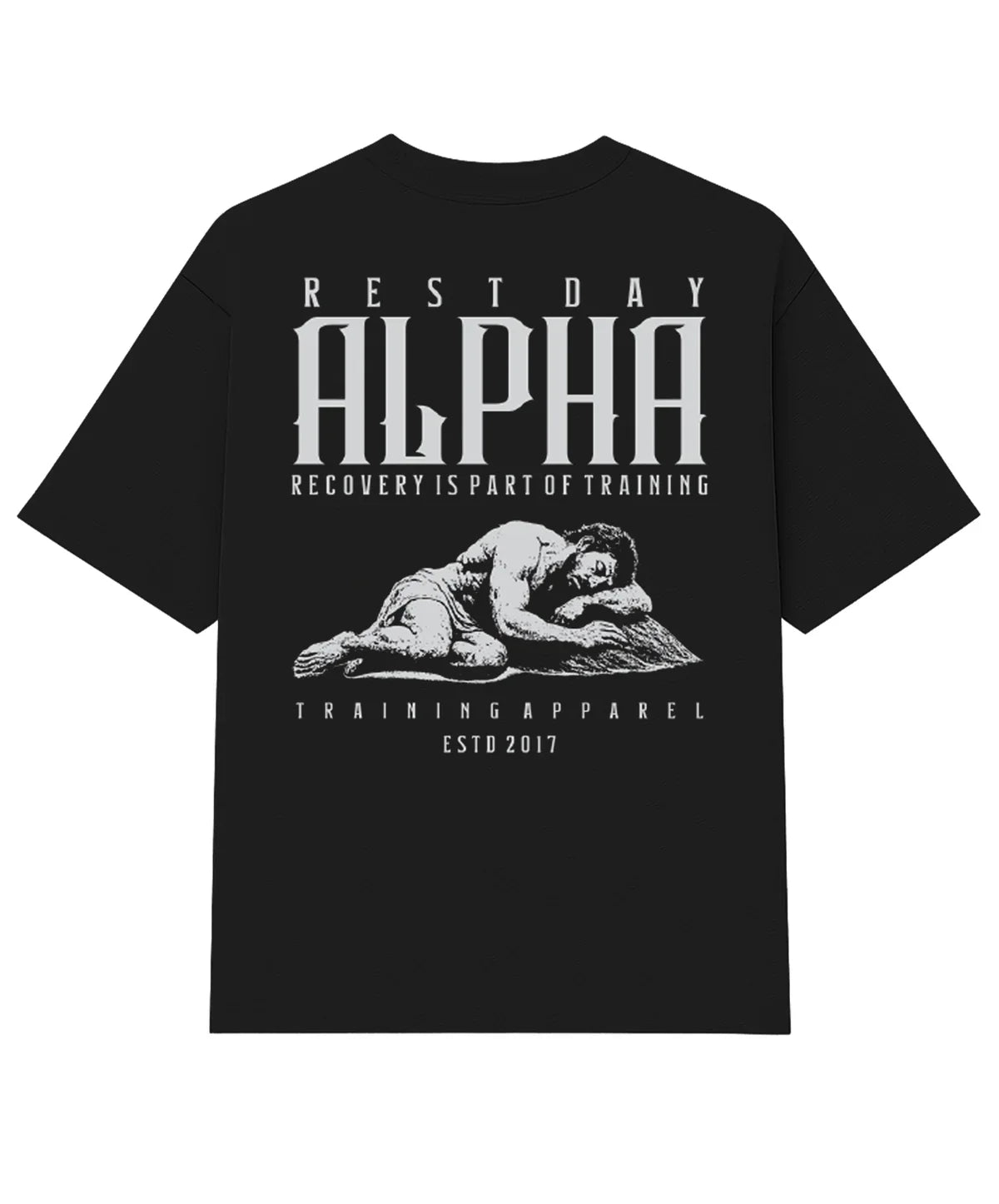 Kit 5 Camisetas Oversized Day Performance