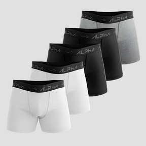 Kit 5 Cuecas Boxer Cotton - Alpha 01